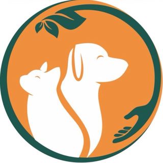 clinicavet.planetaanimal